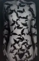 Facebook's Nipplegate/Breasts (Signed and numbered, edt of 50)