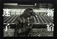 Shinjuku Lost Child (Signed)