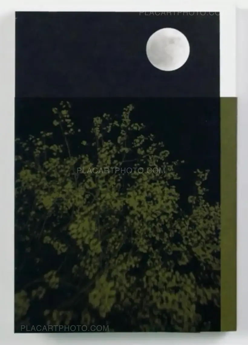 4 a.m. (SEALED COPY)