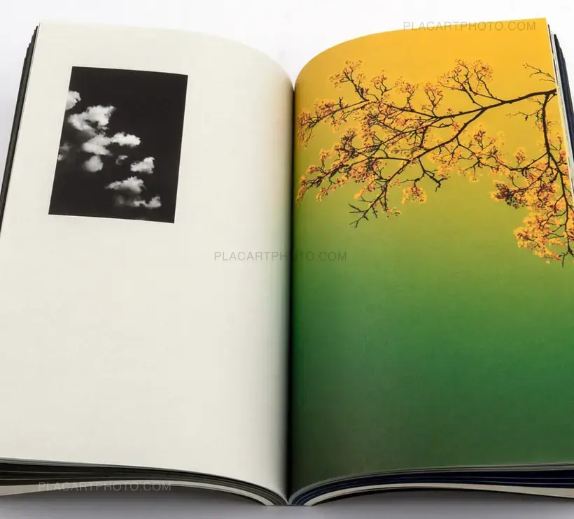 4 a.m. (SEALED COPY)