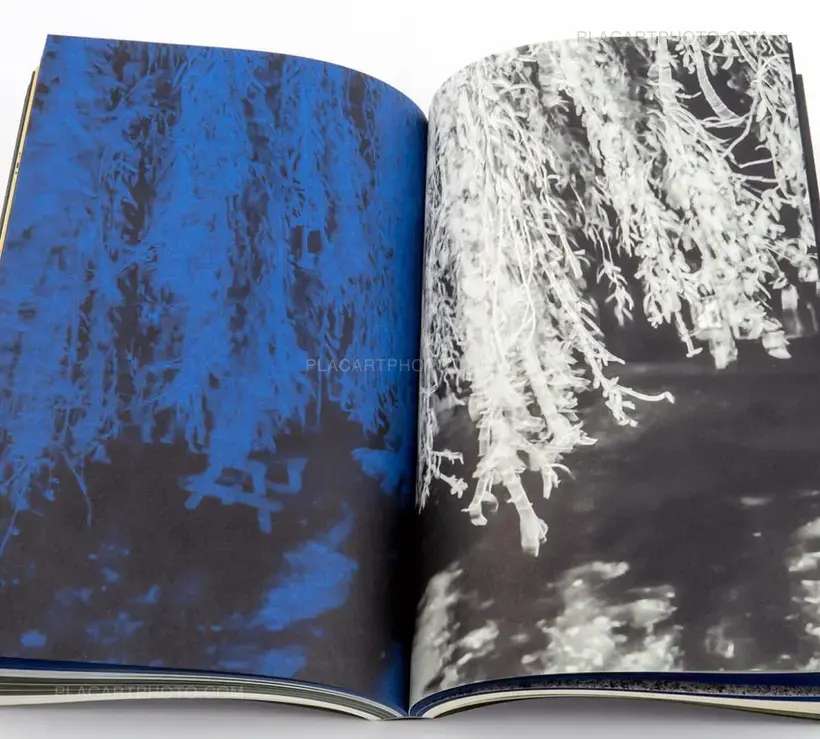 4 a.m. (SEALED COPY)