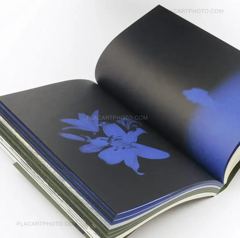 4 a.m. (SEALED COPY)