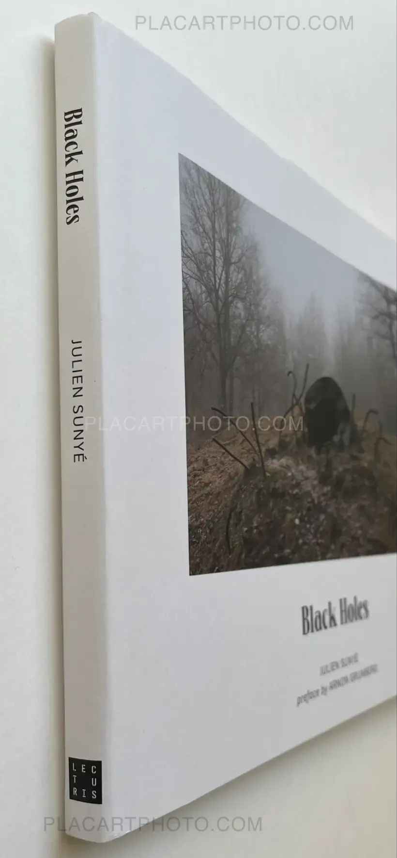 Black Holes (Signed)