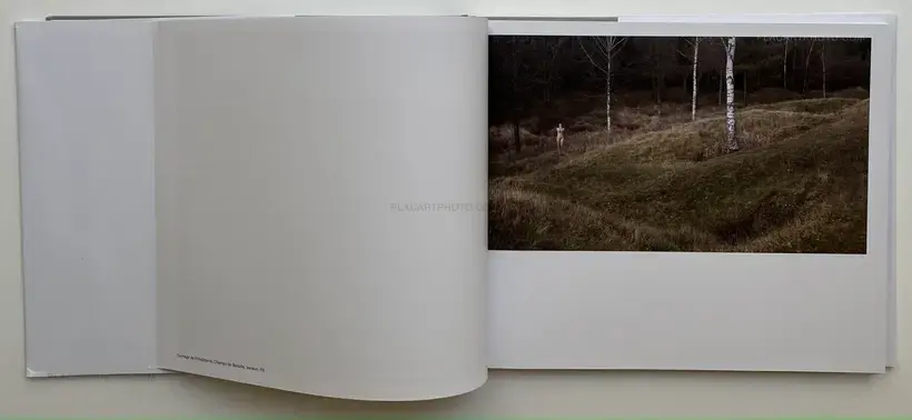 Black Holes (Signed)