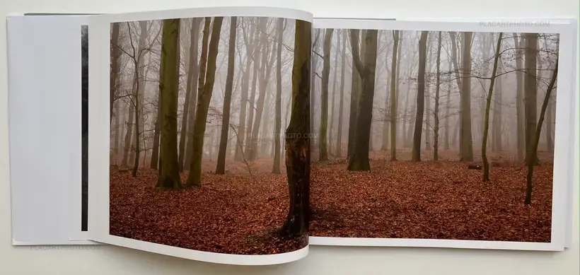 Black Holes (Signed)