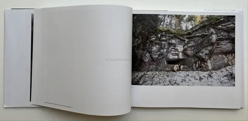 Black Holes (Signed)