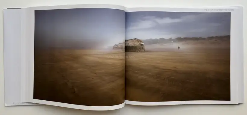 Black Holes (Signed)