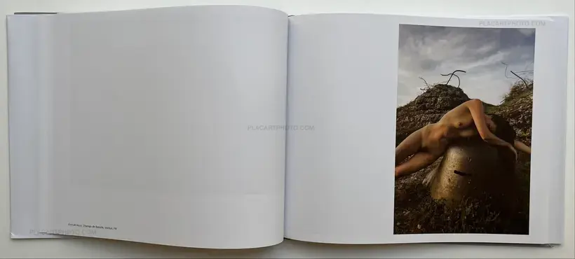 Black Holes (Signed)