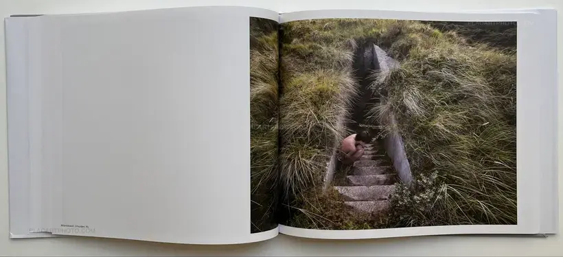 Black Holes (Signed)