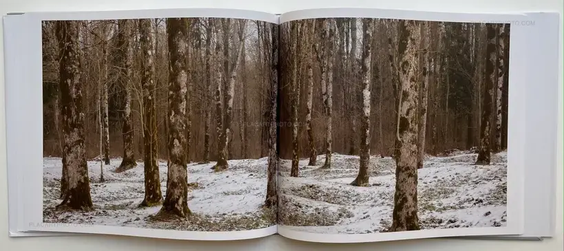 Black Holes (Signed)