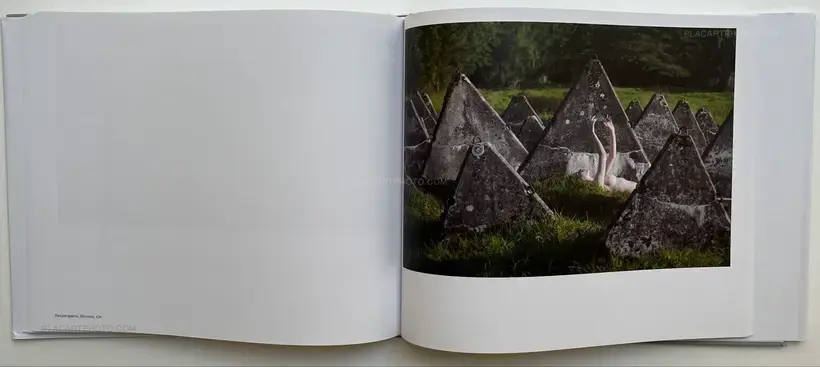 Black Holes (Signed)