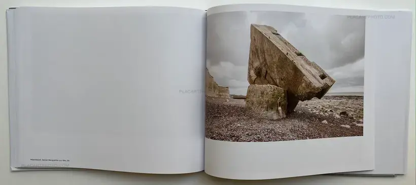 Black Holes (Signed)