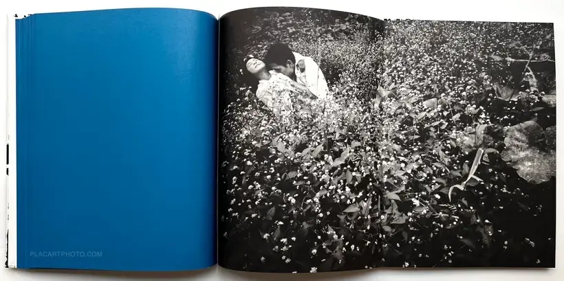 Kamaitachi (Signed with shipping box)