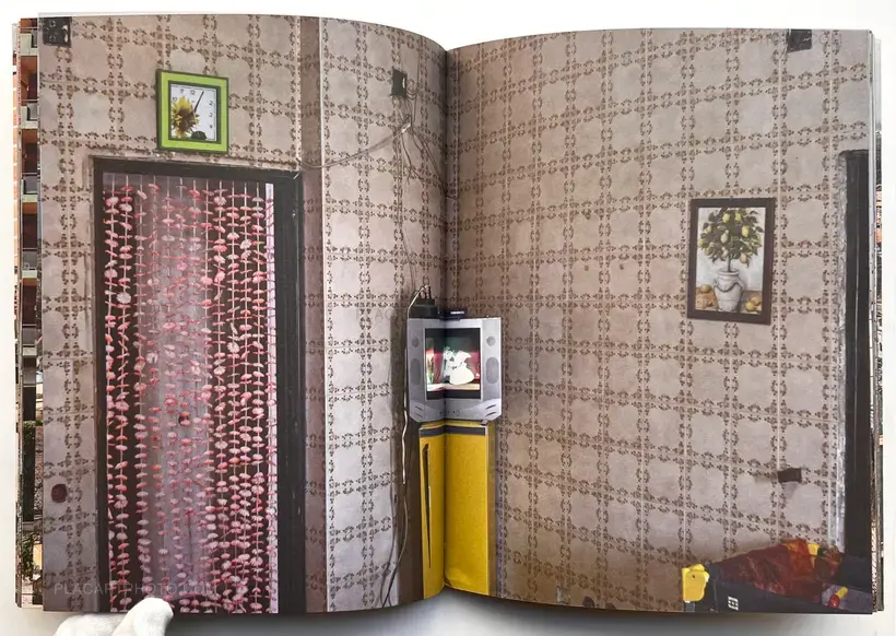 Saluti da Pinetamare