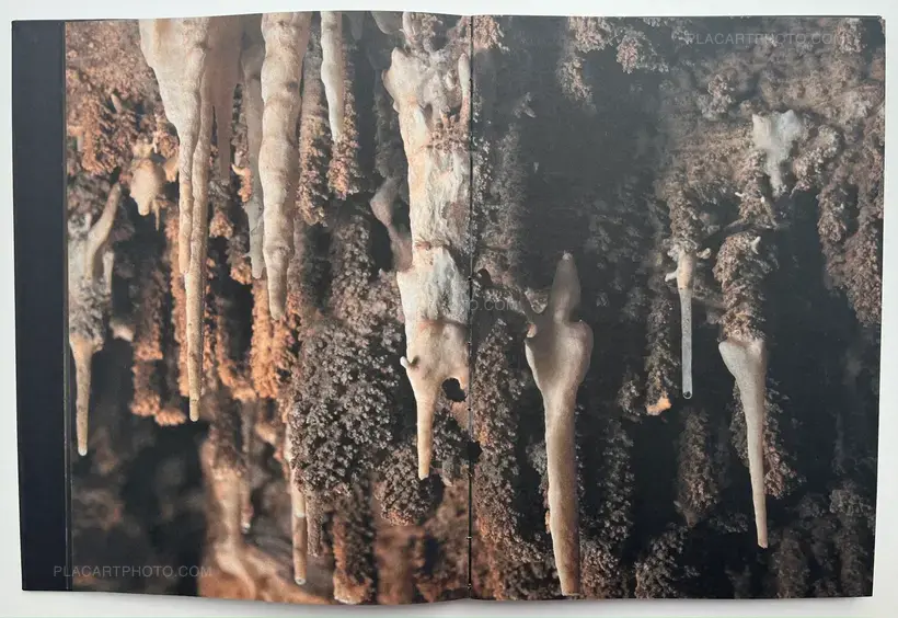 Donde la luz se convierte en oscuridad