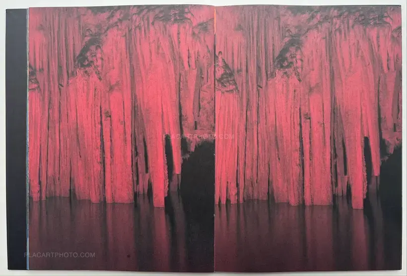 Donde la luz se convierte en oscuridad