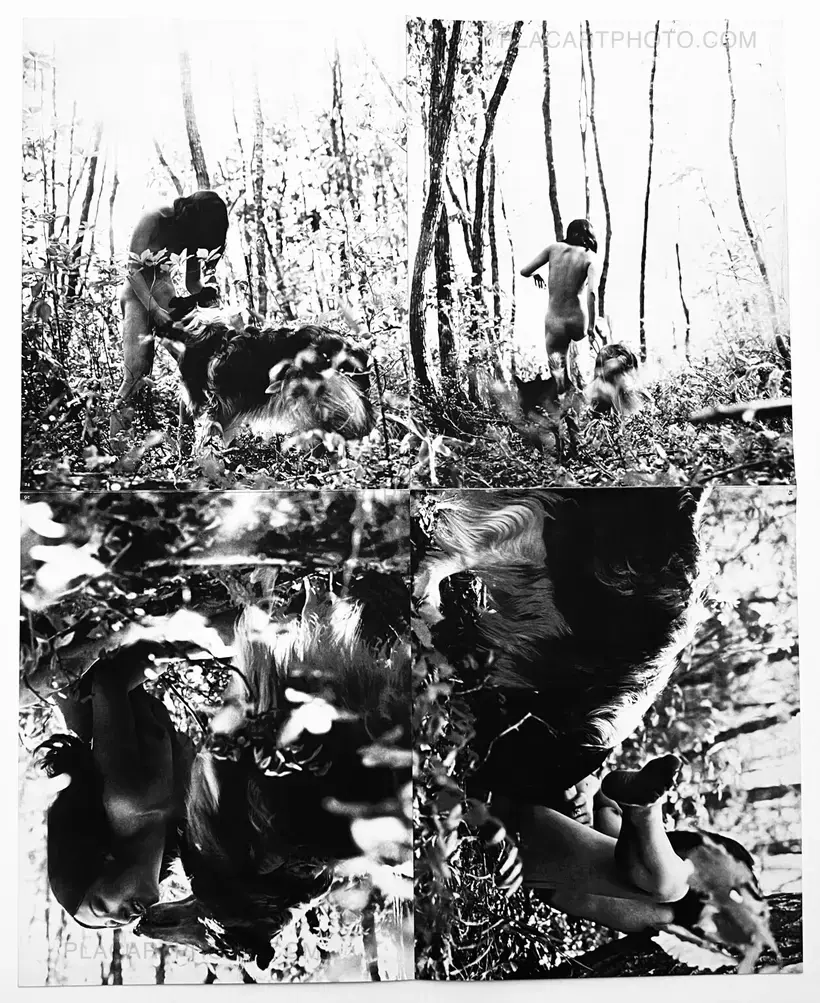 Ju-ai : Daisan no Venus / Beast love: The Third Venus