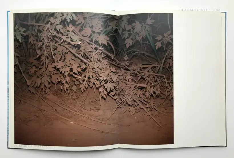 Flamboya (First edition)