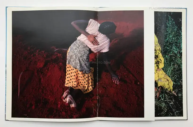 Flamboya (First edition)