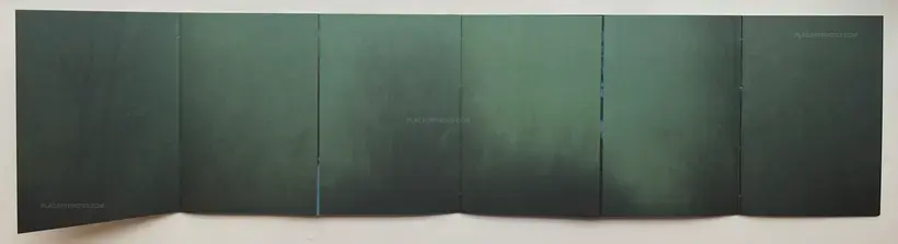 Traces Within (SIGNED AND NUMBERED /800)