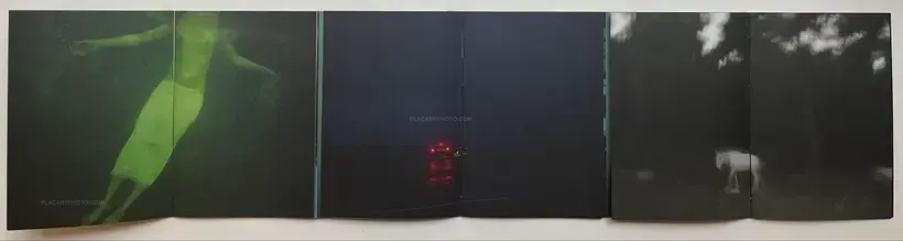 Traces Within (SIGNED AND NUMBERED /800)