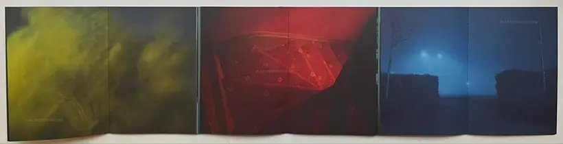 Traces Within (SIGNED AND NUMBERED /800)