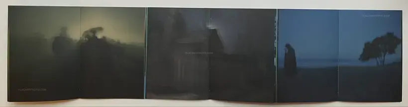 Traces Within (SIGNED AND NUMBERED /800)