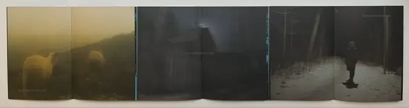 Traces Within (SIGNED AND NUMBERED /800)