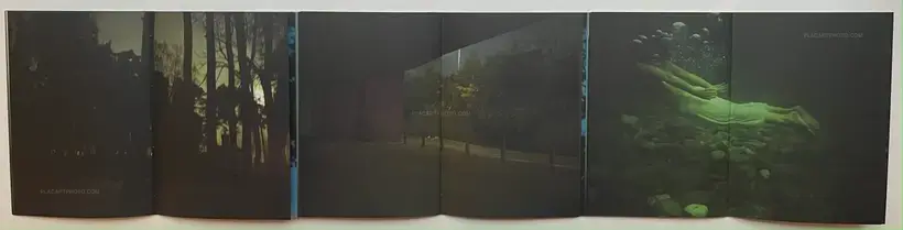 Traces Within (SIGNED AND NUMBERED /800)