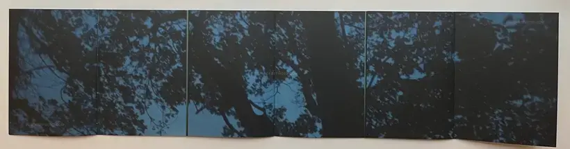 Traces Within (SIGNED AND NUMBERED /800)