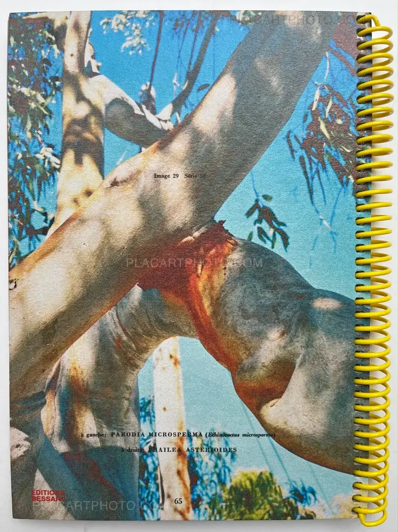 There is hope but not for us (SIGNED & NUMBERED /500, SIGNED PRINT)