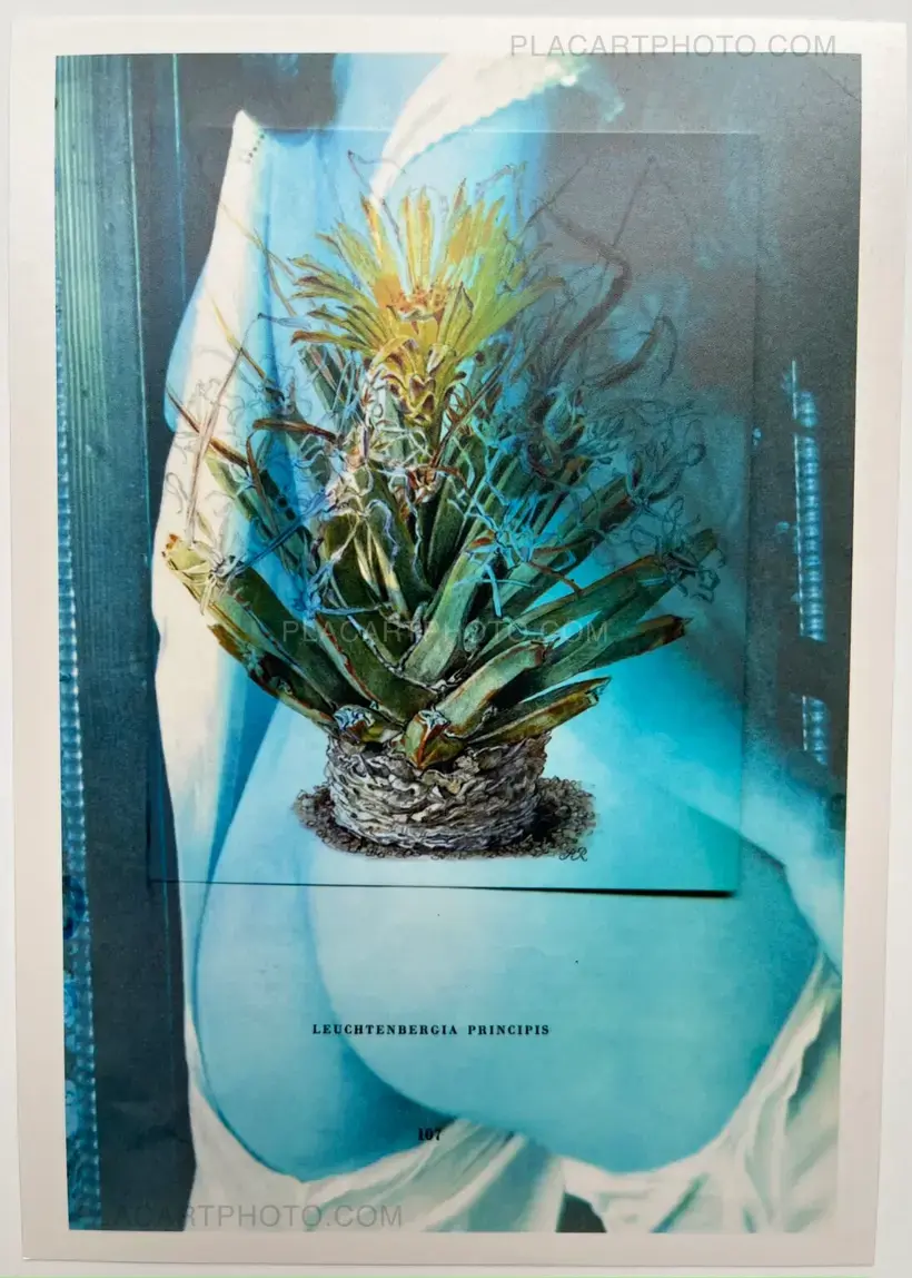 There is hope but not for us (SIGNED & NUMBERED /500, SIGNED PRINT)