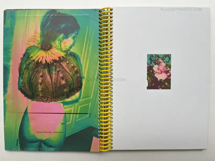 There is hope but not for us (SIGNED & NUMBERED /500, SIGNED PRINT)