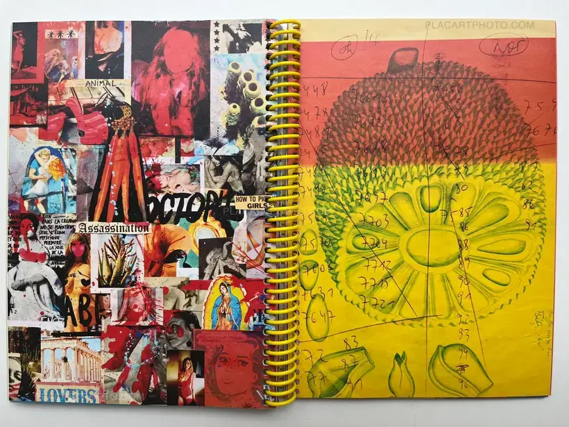 There is hope but not for us (SIGNED & NUMBERED /500, SIGNED PRINT)