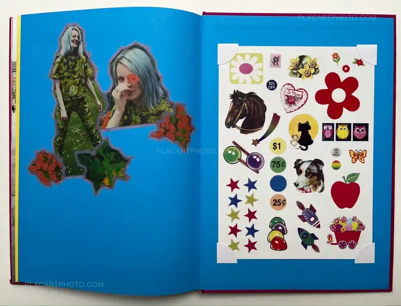 Dye Your Hair With Kool-Aid (W/ SIGNED PRINT)