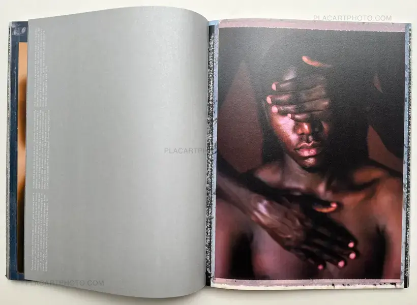 Where Love is Illegal