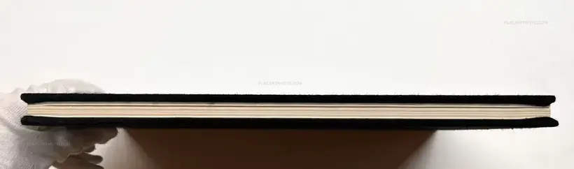 The Lines of my Hand