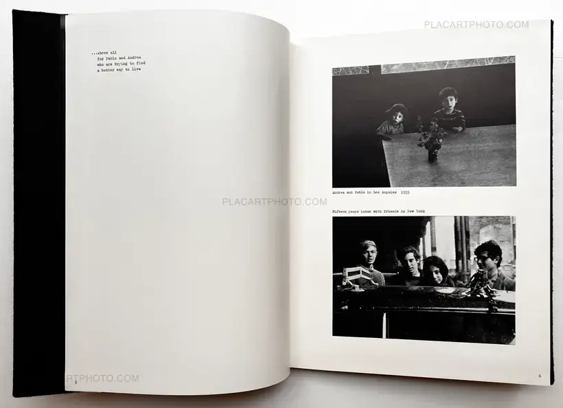 The Lines of my Hand