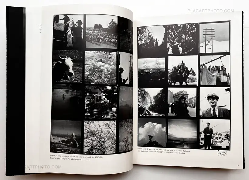 The Lines of my Hand