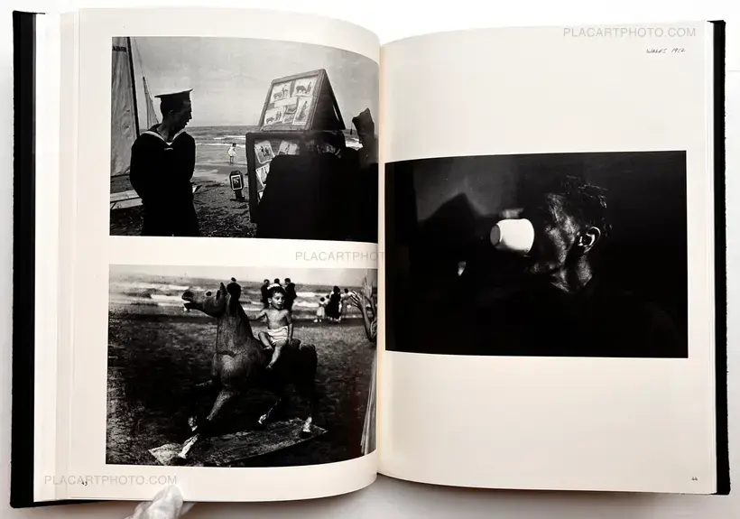 The Lines of my Hand