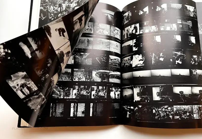 The Lines of my Hand