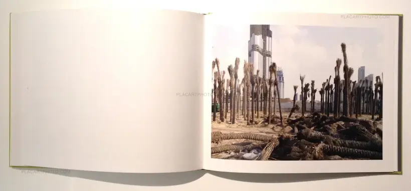 Desert Spirit (Signed)