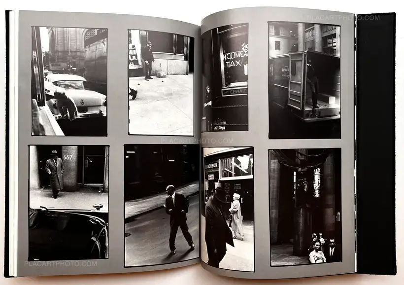 The Lines of my Hand