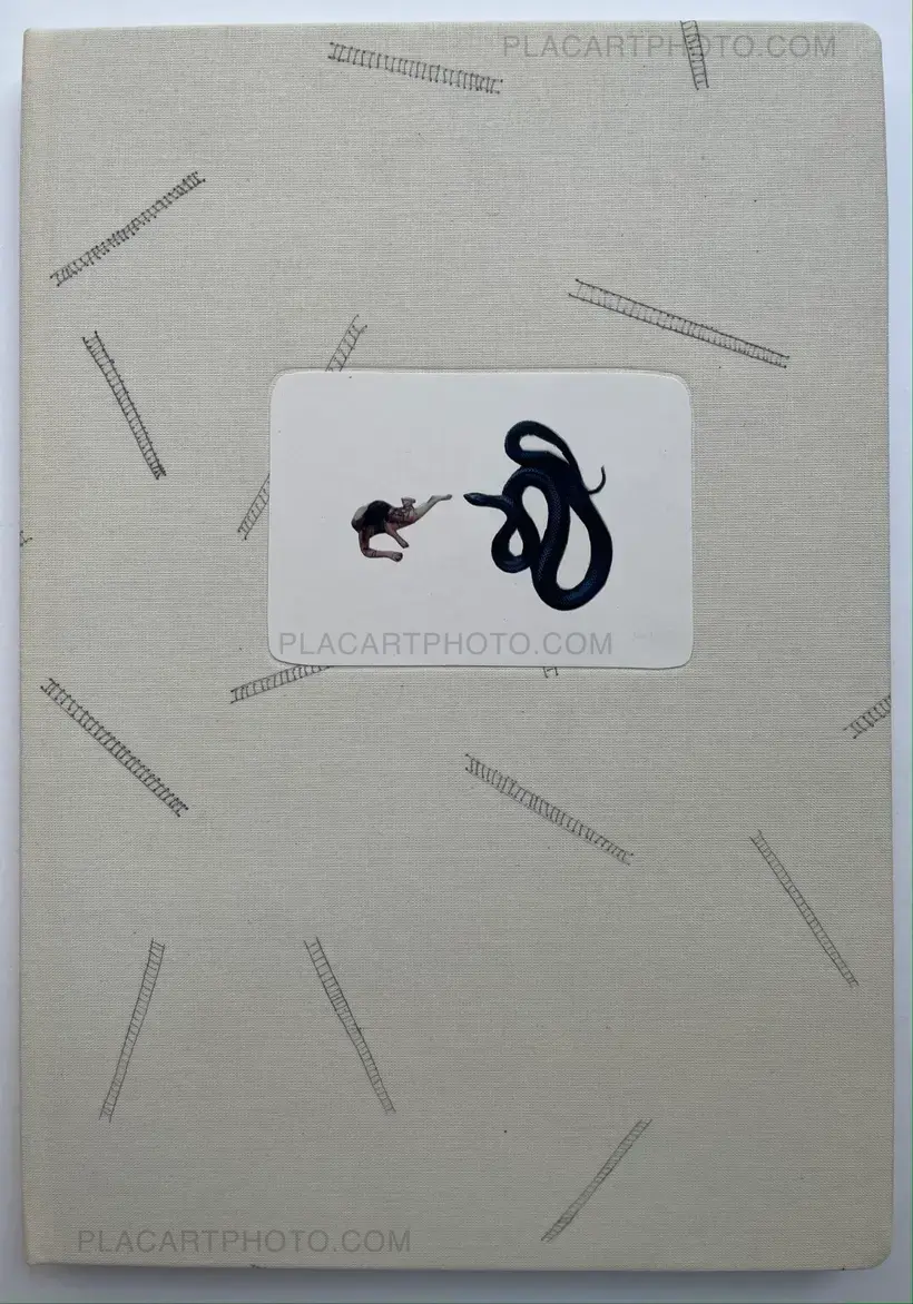 Sleeping State of Being - Creatures of Night and Day