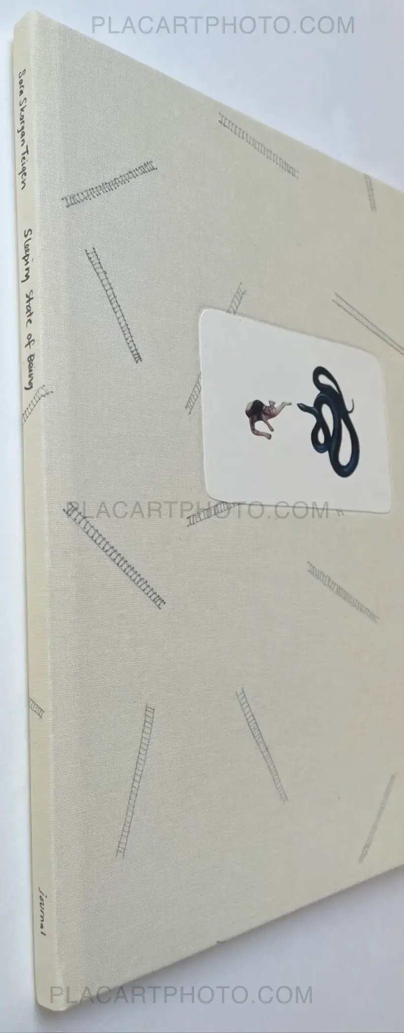 Sleeping State of Being - Creatures of Night and Day