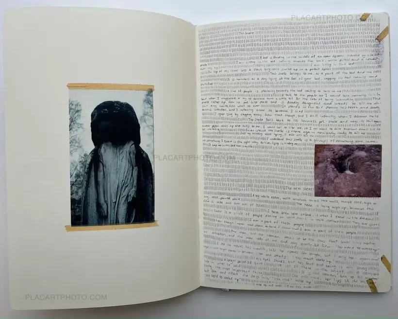 Sleeping State of Being - Creatures of Night and Day