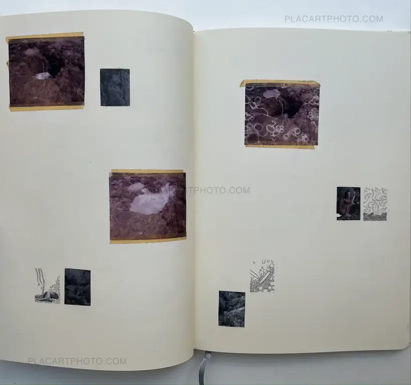 Sleeping State of Being - Creatures of Night and Day