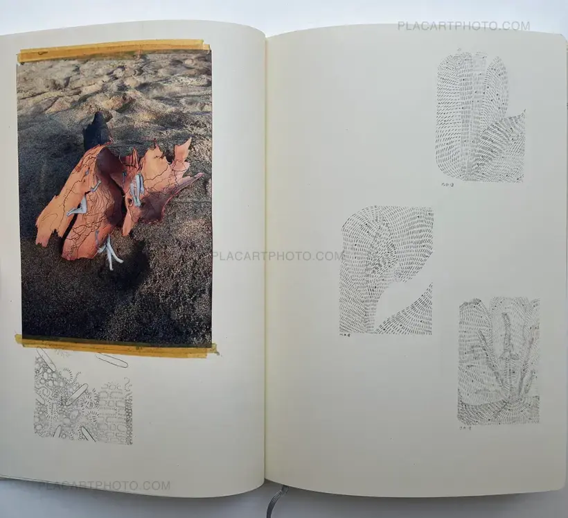 Sleeping State of Being - Creatures of Night and Day