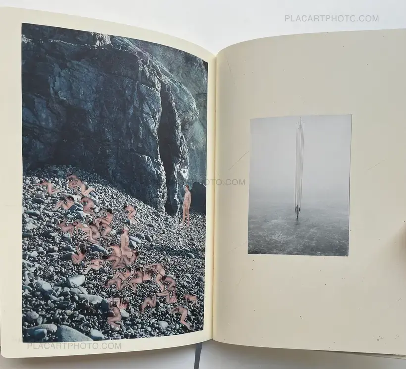 Sleeping State of Being - Creatures of Night and Day