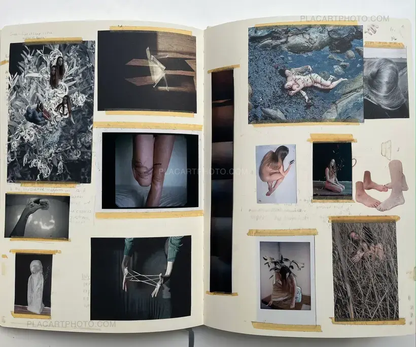 Sleeping State of Being - Creatures of Night and Day